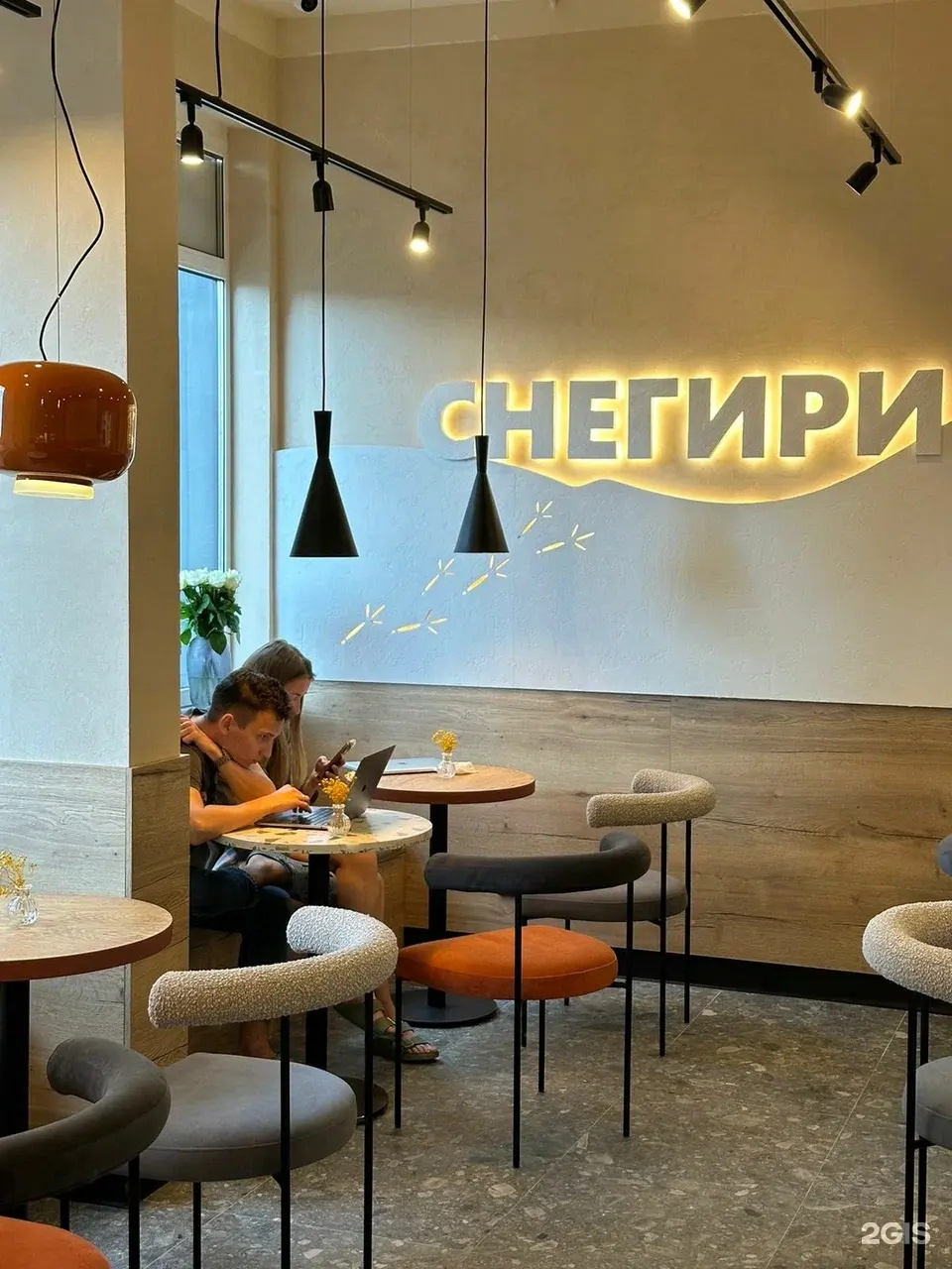 Изображение организации