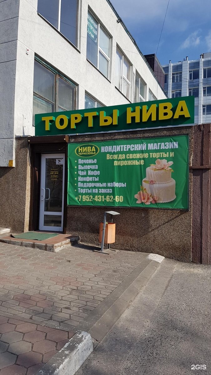 нива черноземья князь. радищева 50 курск нива черноземья. нива черноземья белгород. нива черноземья фото магазинов. магазин нива курск торты адреса.