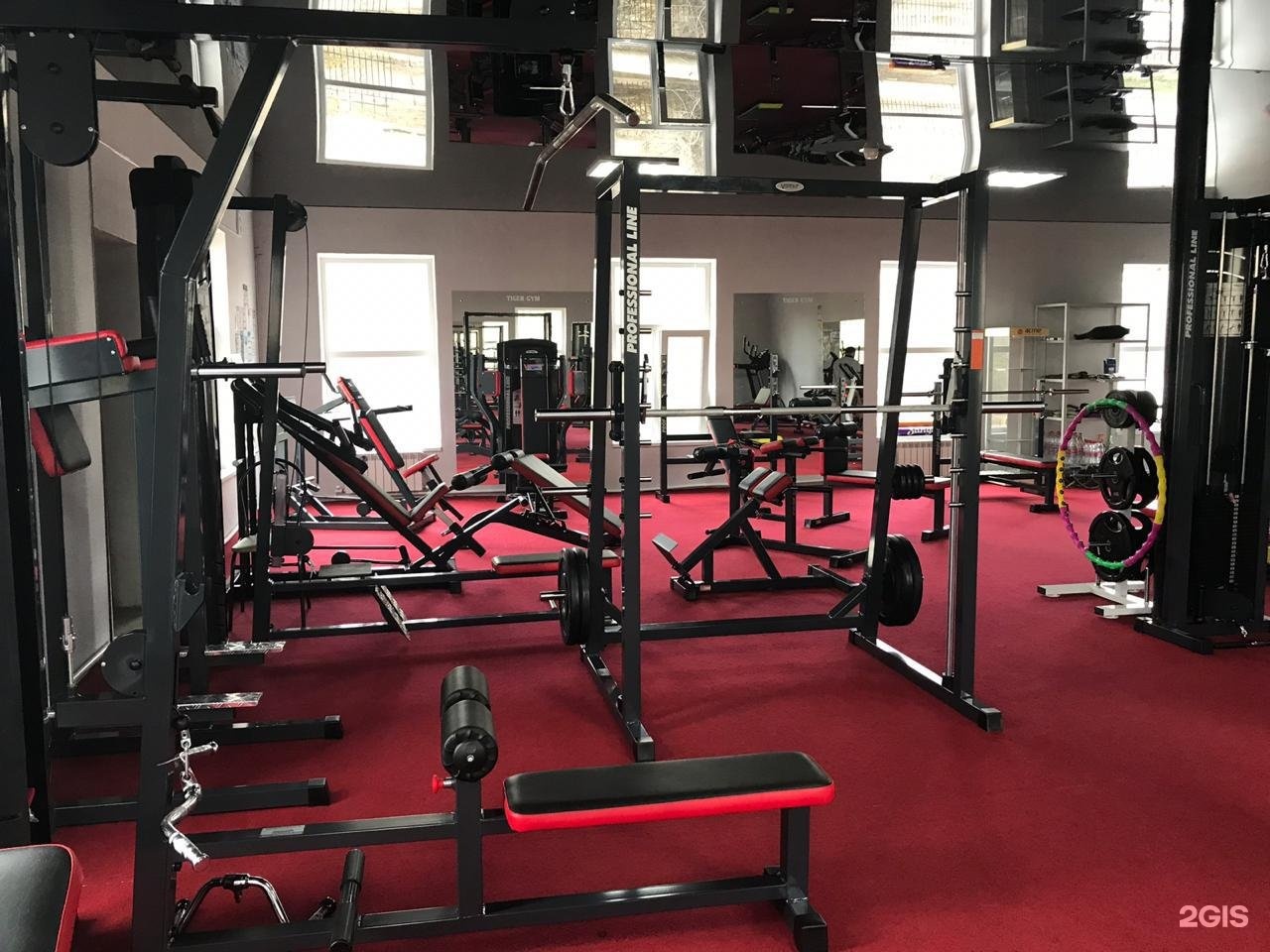 Tiger gym, тренажерный зал, Олега Кошевого, 21Б, с. Икряное — 2ГИС