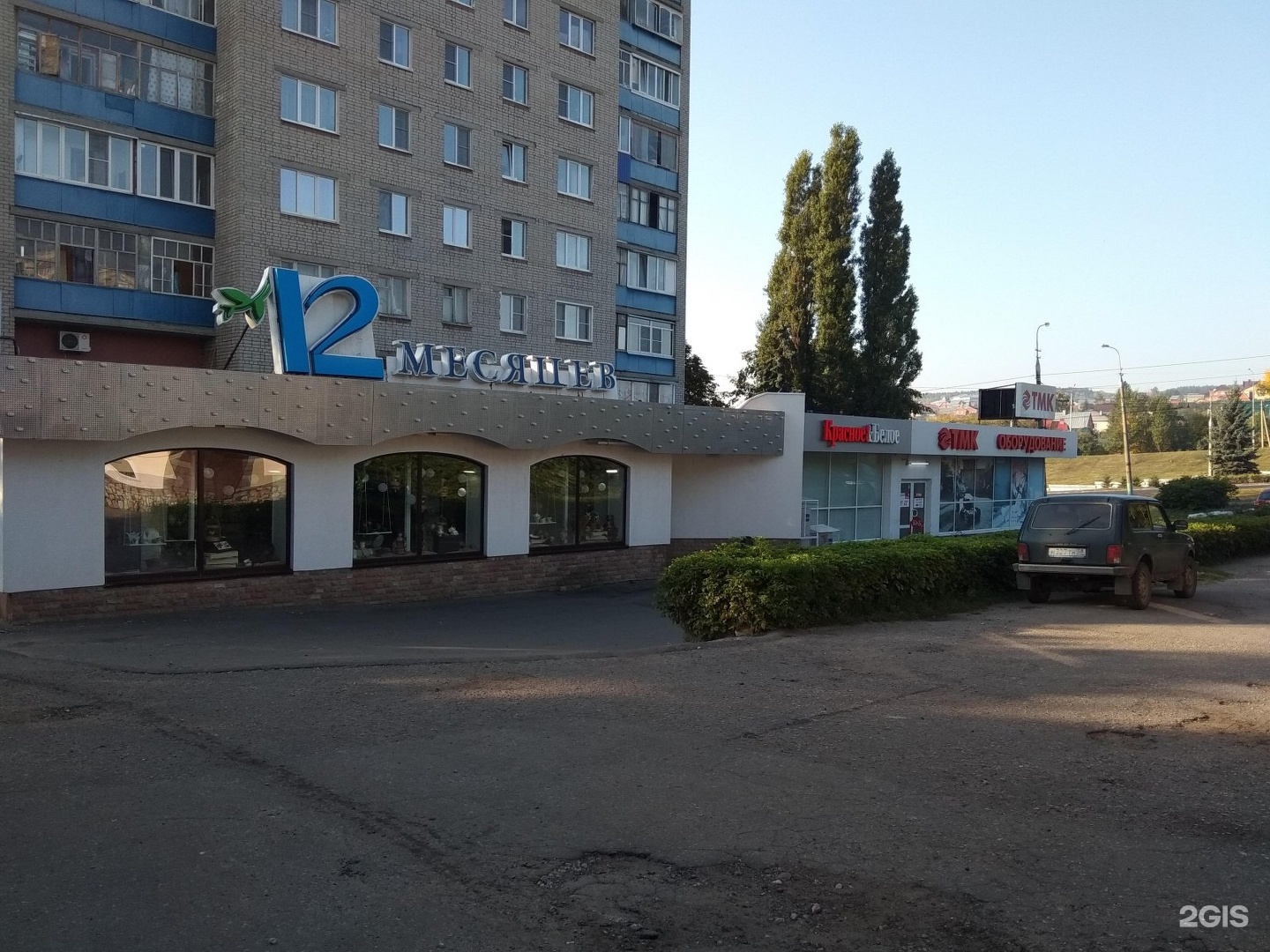 Карпинского 12 Пенза