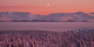 Кировск муниципальный округ: Глэмпинг На Севере