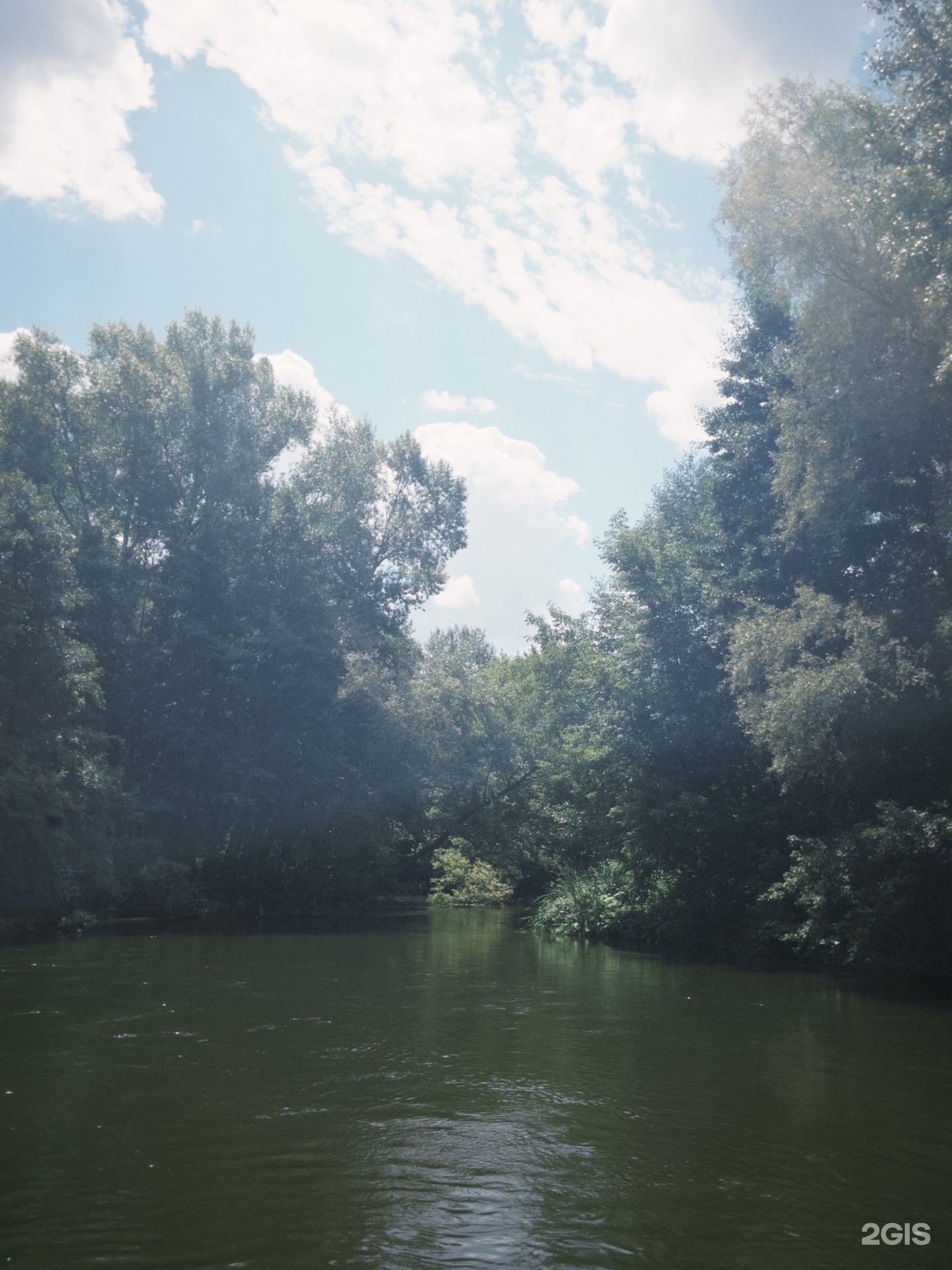 Salkyn Samal