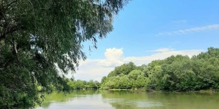 Богдасаров: Глэмпинг Скворечник