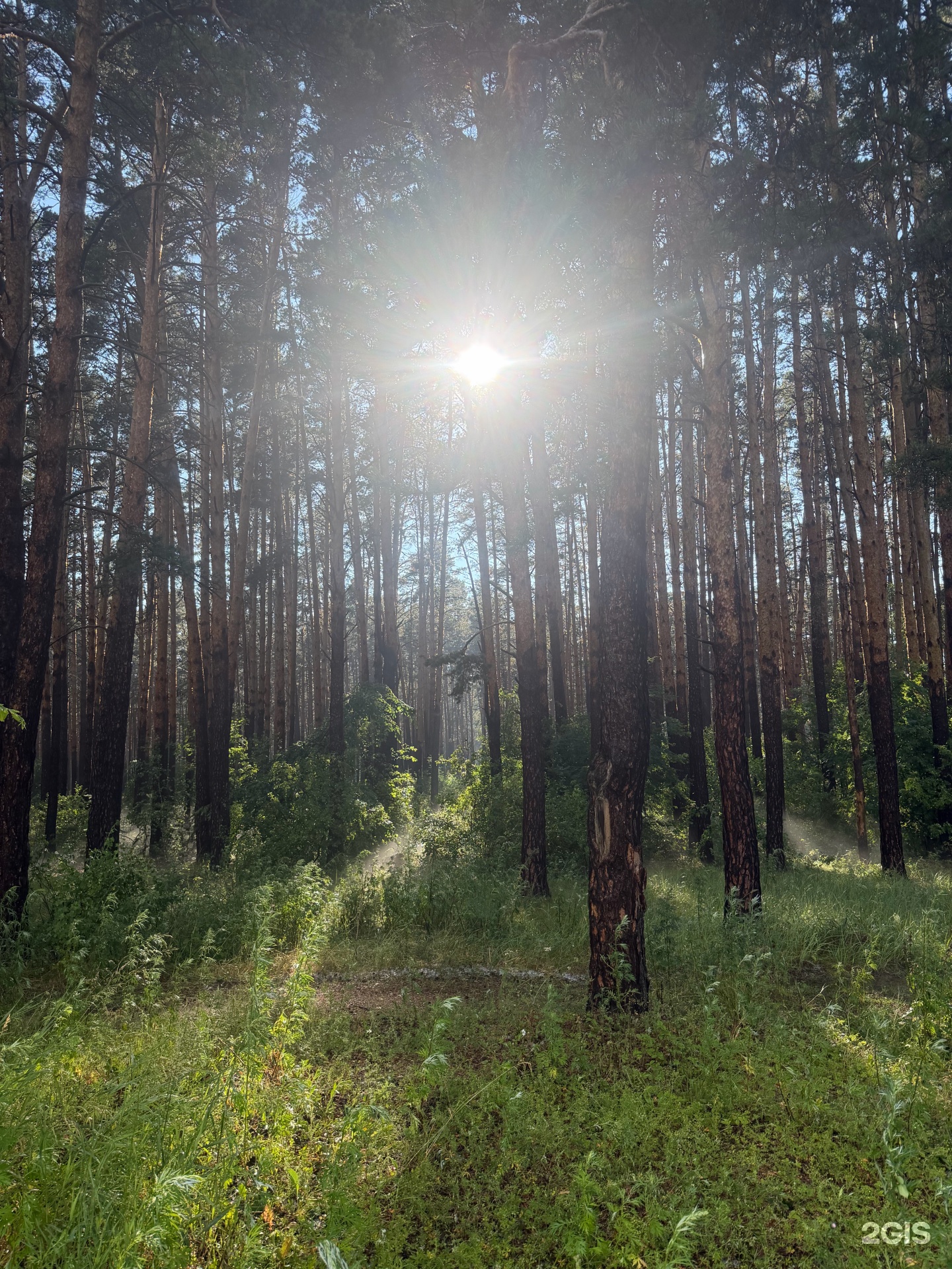 Кыпшак