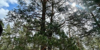 Аюла: Апартаменты Zawada