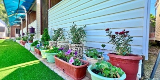 Нижнее Учдере: Гостевой дом У Миланы