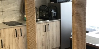 Онгудай: Гостевой дом Гостевой дом