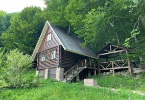 Коттедж Кужи в Хамышках