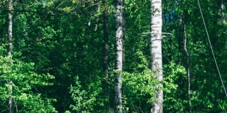 Набережные Челны: Турбаза Слобода