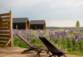 Глэмпинг Petra eco village в Владимирской области