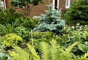 Гостевой дом Комфорт хаус Листвянка Байкал в Листвянке