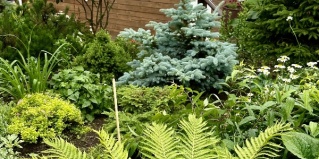 Листвянка: Гостевой дом Комфорт хаус Листвянка Байкал