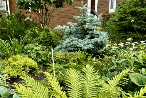 Листвянка: Гостевой дом Комфорт хаус Листвянка Байкал