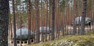 Приозерский муниципальный район: Глэмпинг Mystic Hills