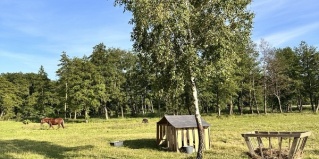Филино: Отель Белый Филин