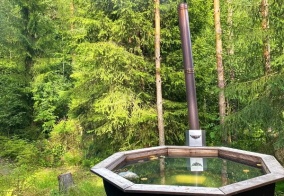 Коттедж ForestHall в Ленинградской области