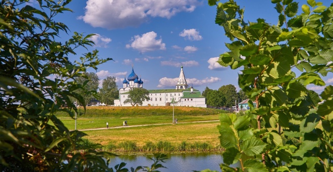 Гостевой дом «Ёлки», Суздаль — фото 1