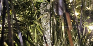 Охлебинино: Отель Kedr camp