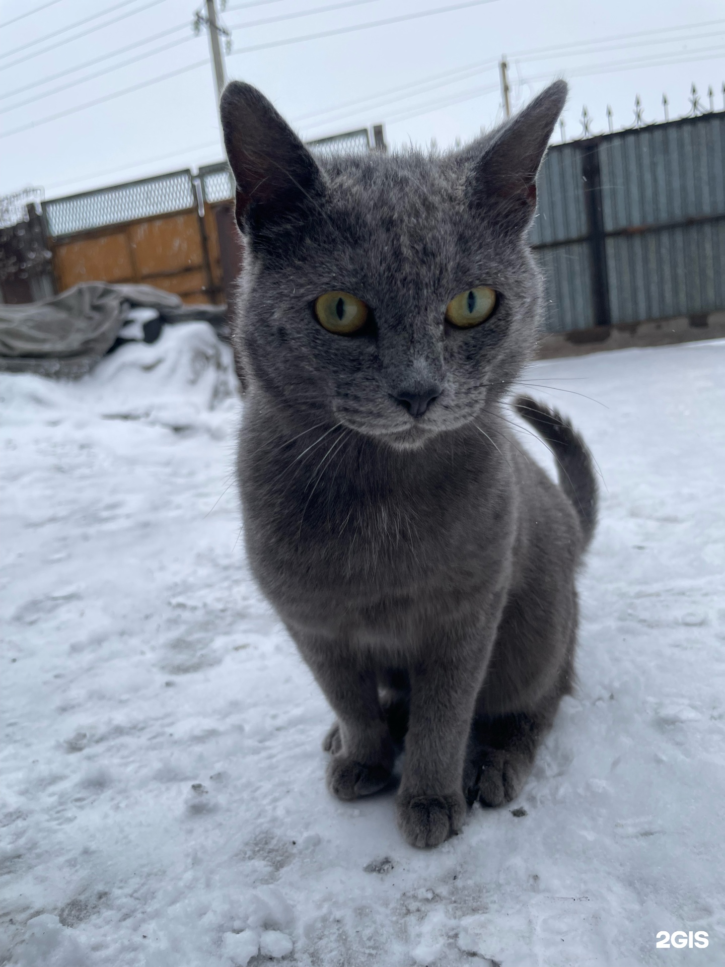 Русская баня
