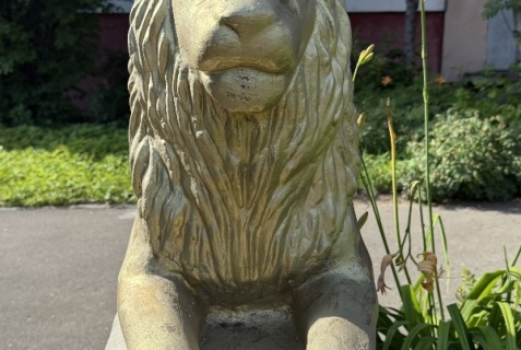 Москва: Отель Lion