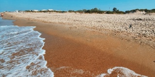 Благовещенская: Глэмпинг Beta