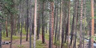 Терскол: Гостевой дом Green forest