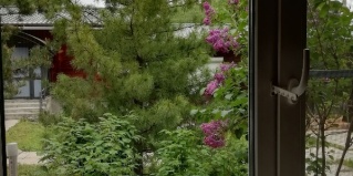 Зеленая Поляна: Коттедж Шишма