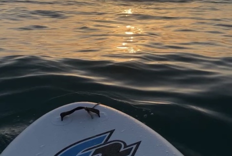 Алахадзы: Гостевой дом У Сусанны