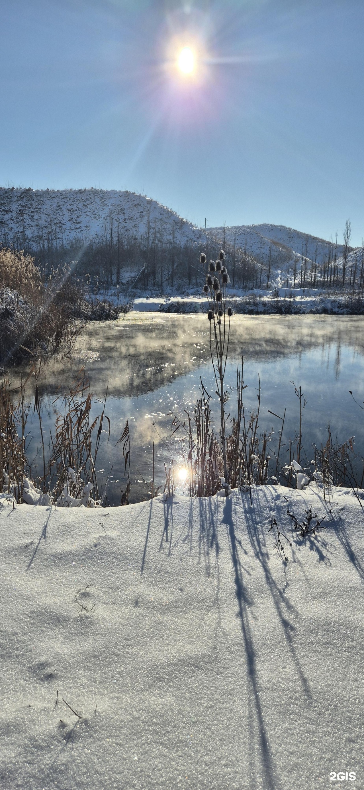 Здравница