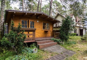 Турбаза Виттех на Куршской косе