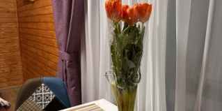 Таранай: Вилла/Бунгало Хижина