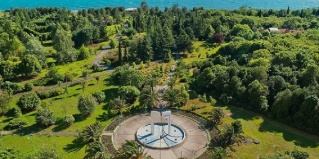 Пицунда: Отель Самшитовая роща