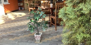 Кисловодск: Гостевой дом У реки