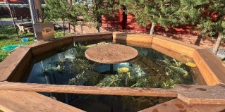 Козино: Отель Хуторок