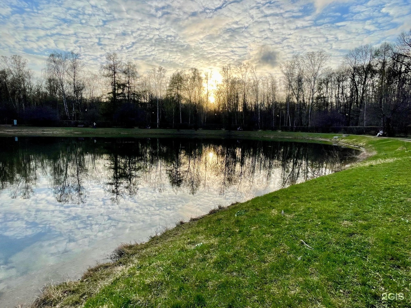 Сокольники. Фото 2gis.