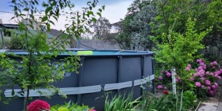 Гагра: Гостевой дом Орхидея