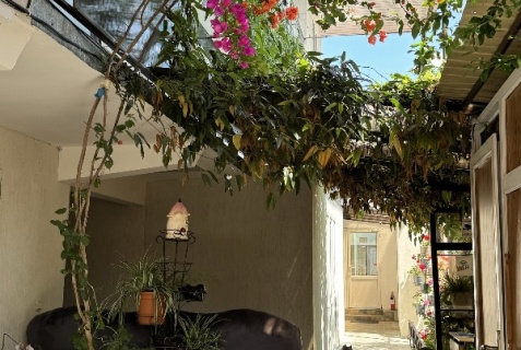 Сириус: Гостевой дом Кипарис