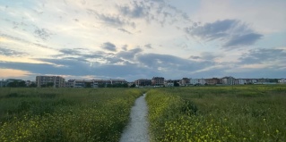 Дивноморское: Гостевой дом Александрия