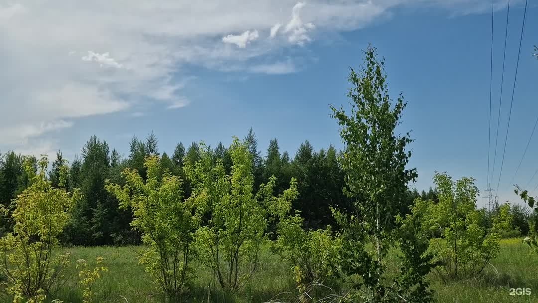 Lesok Astana