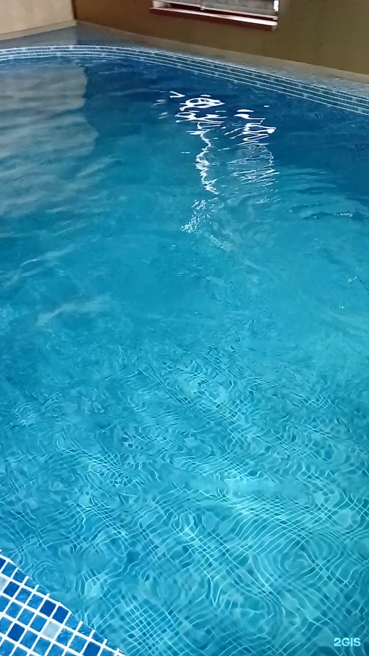 У дяди Васи