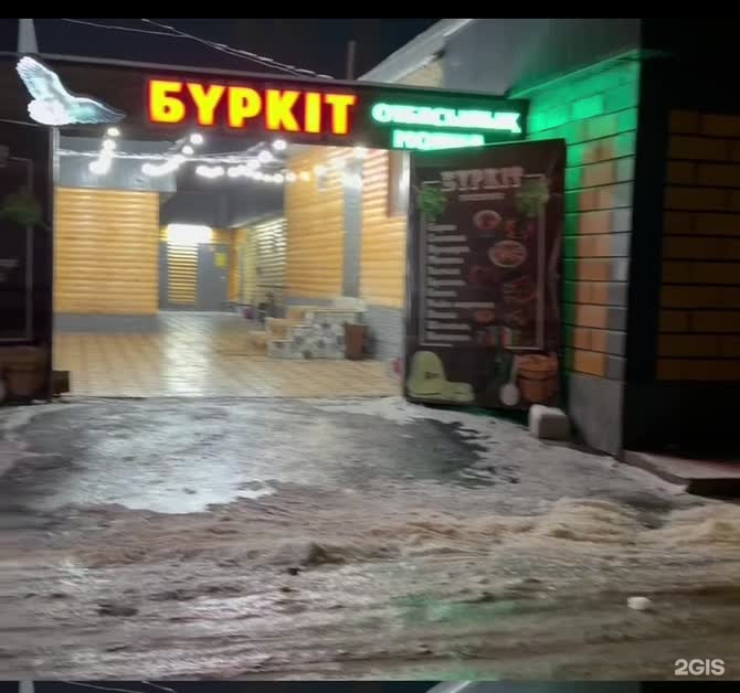 Беркут