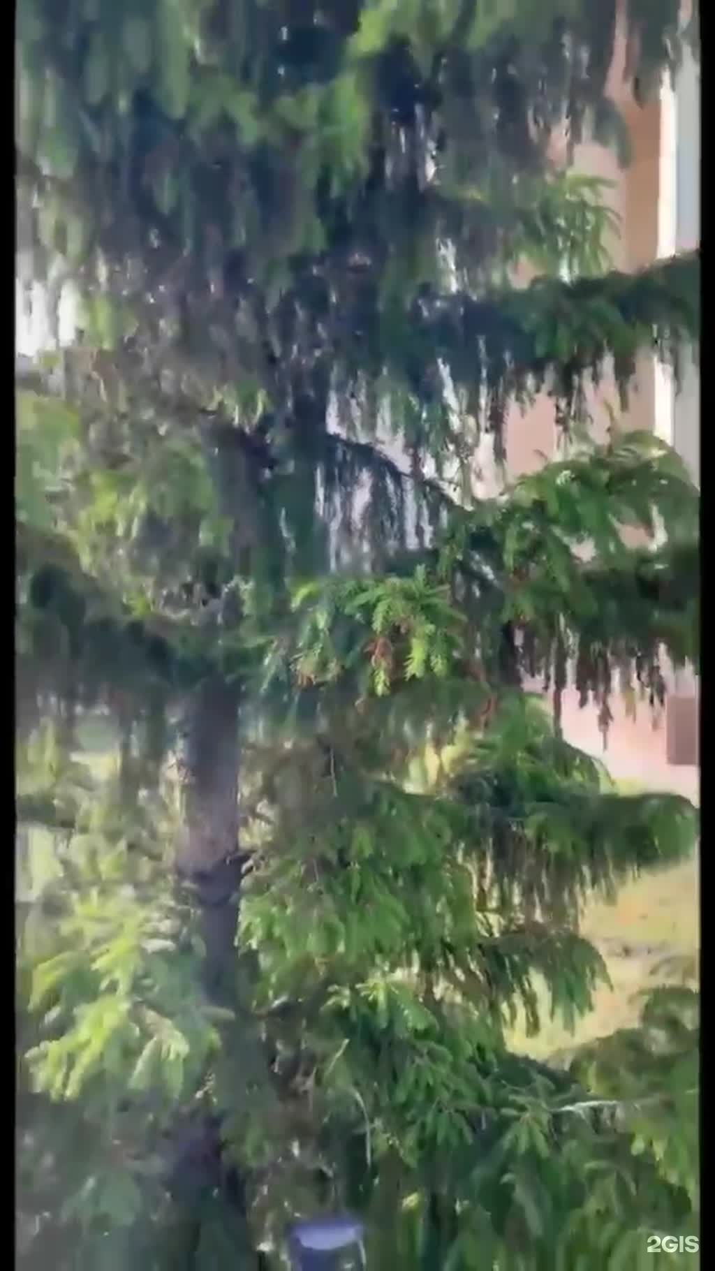 Остров