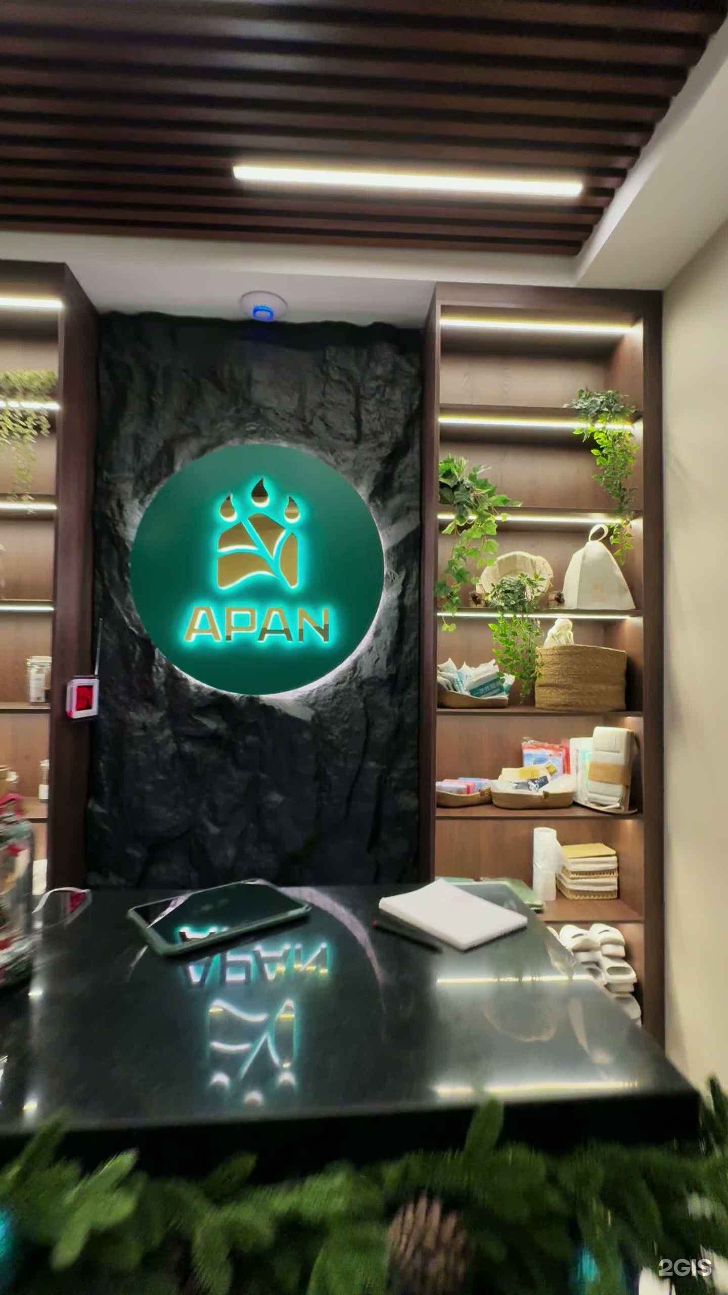 Apan