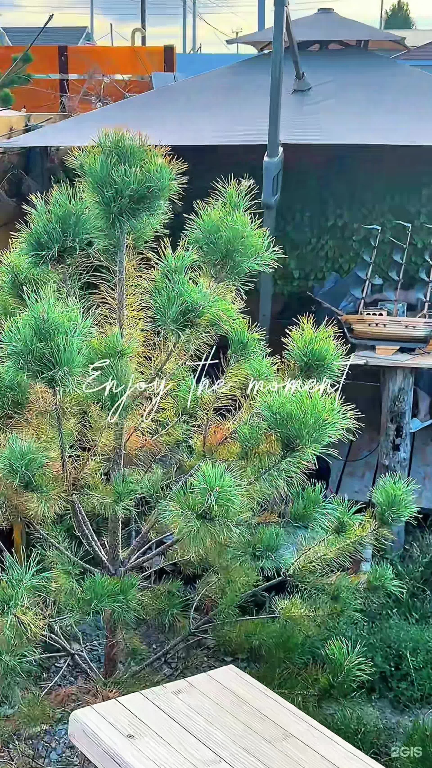 Treehouse