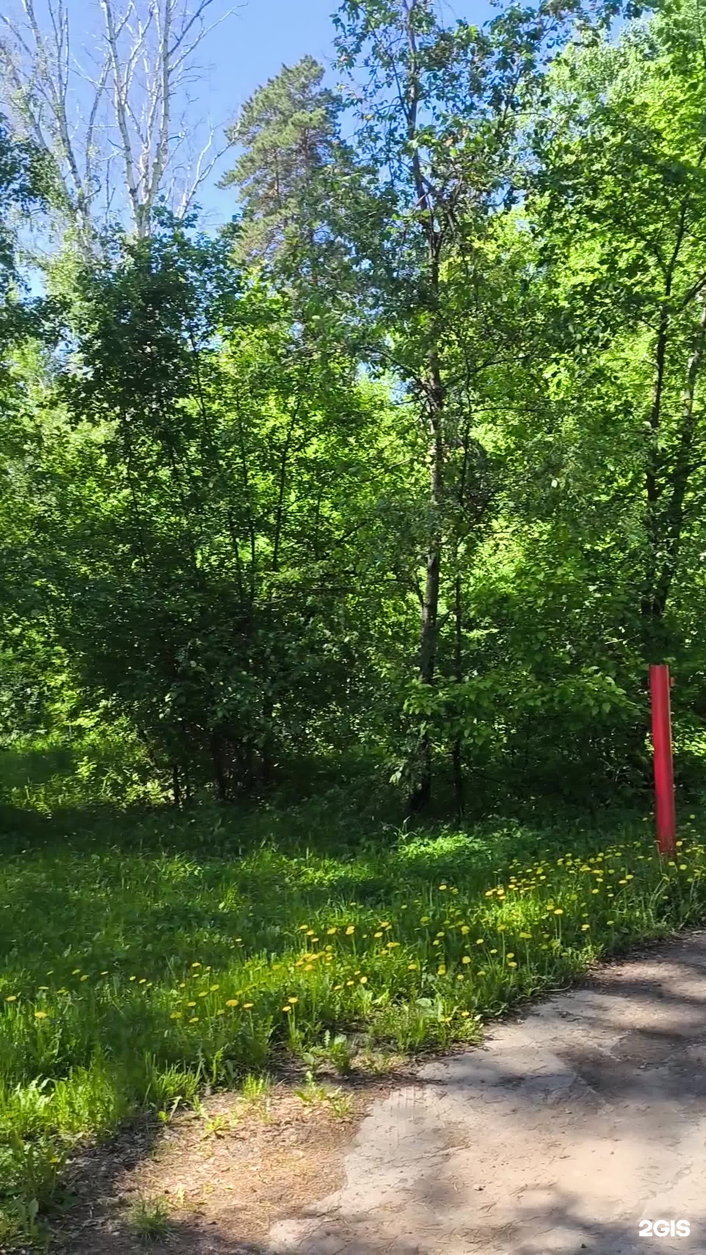 Пёстрое